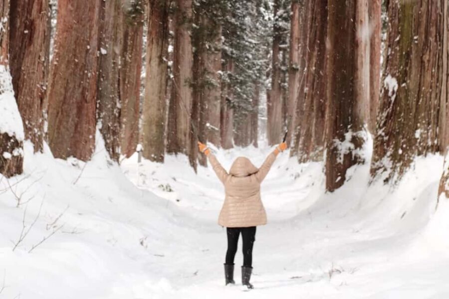 Togakushi & Best of Nagano: Snow Monkeys, Obuse and more - Key highlights worth planning around