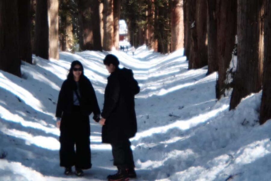 Togakushi & Best of Nagano: Snow Monkeys, Obuse and more - Getting out of town without the bus hassle