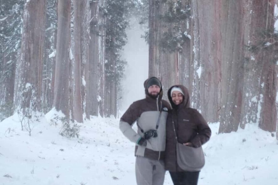 Togakushi & Best of Nagano: Snow Monkeys, Obuse and more - Togakushi-Jinja and the mountain traditions that make it feel real
