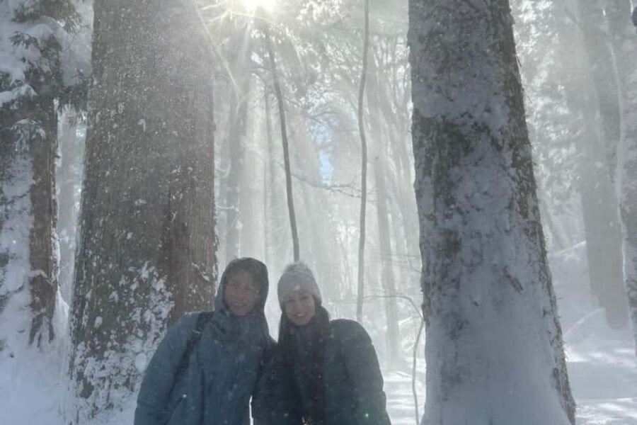 Togakushi & Best of Nagano: Snow Monkeys, Obuse and more - Choosing your afternoon: Snow monkeys, Shibu, Obuse, Zenkoji, or Sakura