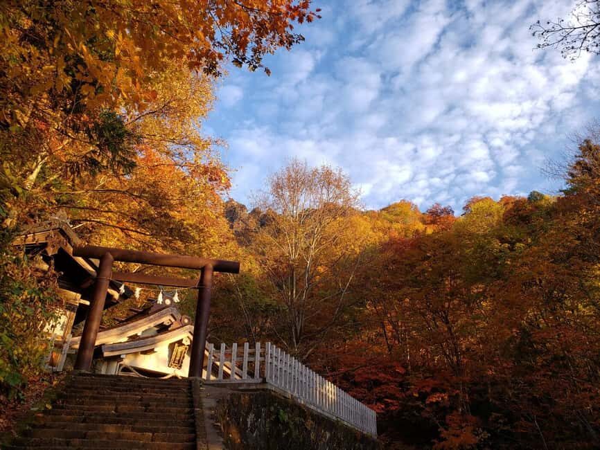 Togakushi & Best of Nagano: Snow Monkeys, Obuse and more - Price and value: why about $121 per person can make sense