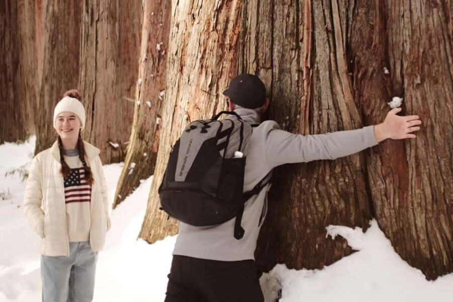 Togakushi & Best of Nagano: Snow Monkeys, Obuse and more - Who should book this and who should skip it