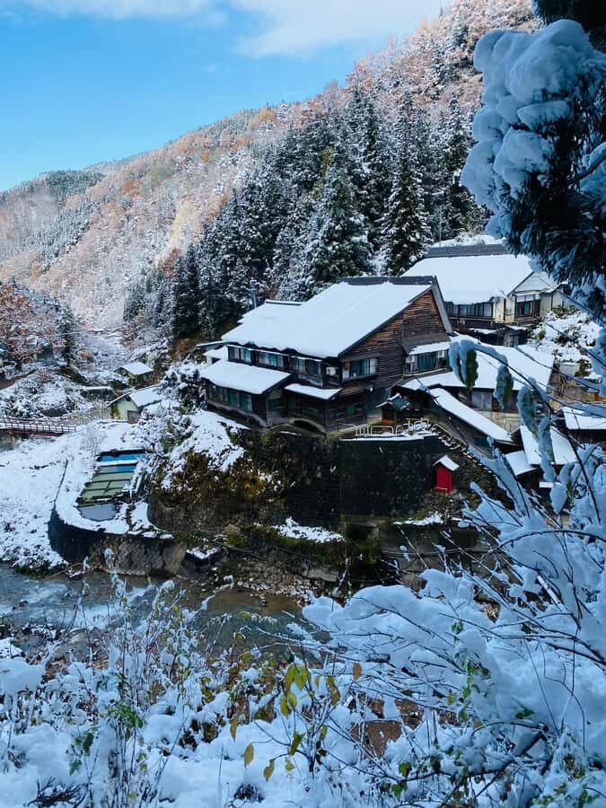 Tokyo/Nagano: private Tour with Snow Monkey Park & Temples - Nagano in One Day: Why This Route Feels Like Two Trips