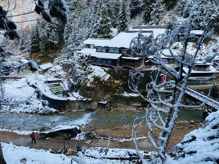 Tokyo/Nagano: private Tour with Snow Monkey Park & Temples - Jigokudani Snow Monkey Park: the forest walk and what to watch