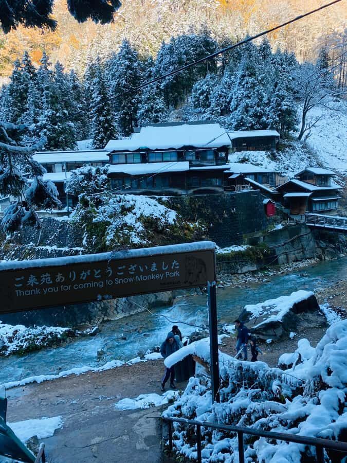 Tokyo/Nagano: private Tour with Snow Monkey Park & Temples - Private door-to-door transport from Tokyo (and what you actually get)