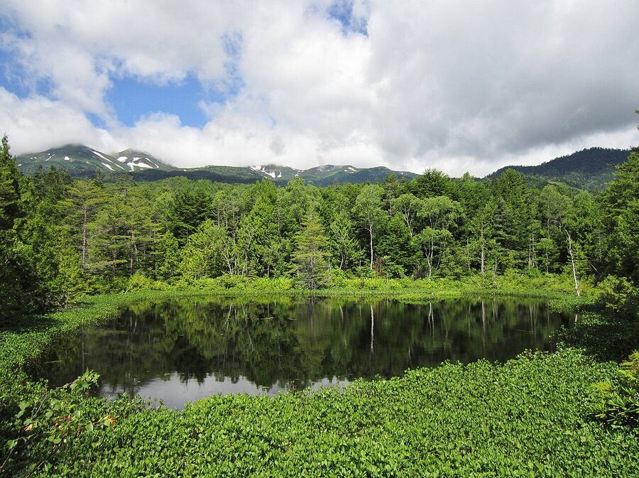 Ushidome Pond reflecting Mount Norikura