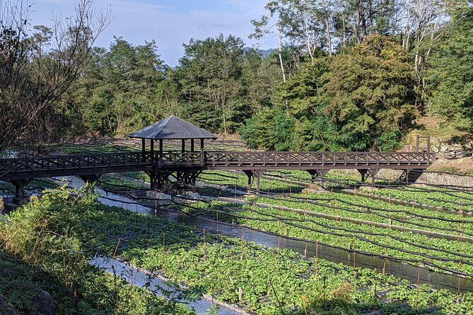 Wasabi Farm Walking Tour & Lunch - A guided walk with English commentary: how the tour stays interesting