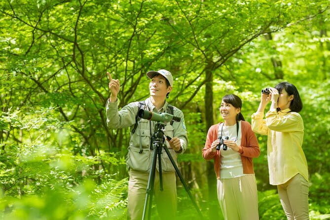 Wild Bird Sanctuary Forest Guided Tour in Nagano - Key highlights worth planning around