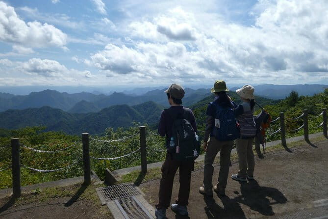 Wild Bird Sanctuary Forest Guided Tour in Nagano - Itineraries in the real world: what the sanctuary stop actually means
