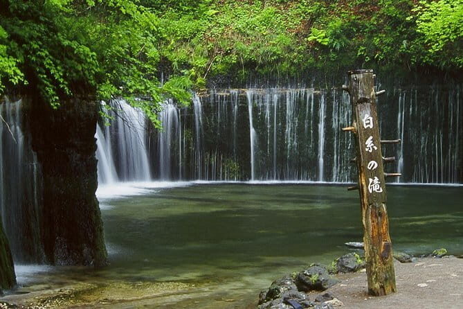 Wild Bird Sanctuary Forest Guided Tour in Nagano - Who should book this forest tour in Nagano