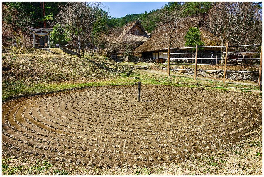 Circular kurumada wheel-shaped rice paddy at Hida Folk Village