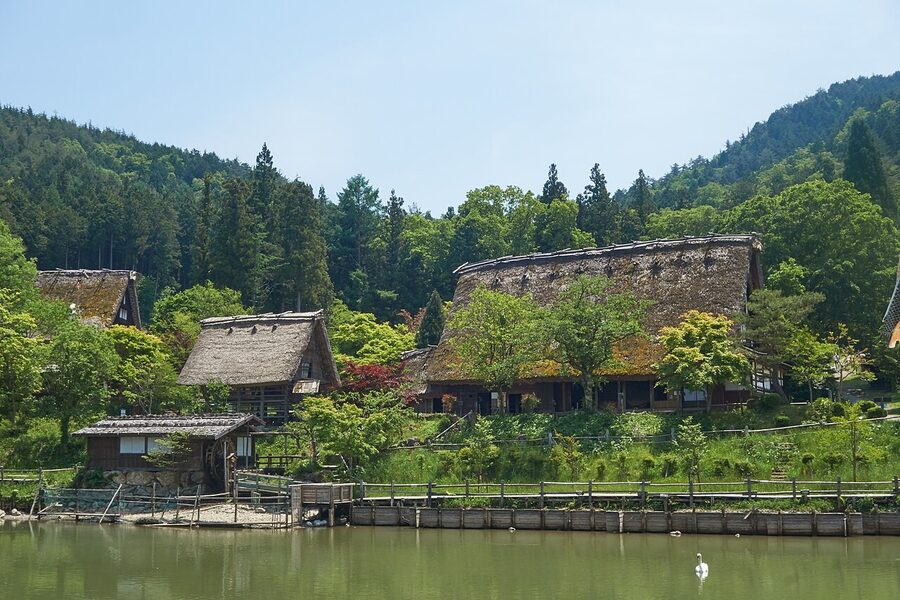 Cluster of gassho-zukuri farmhouses at Hida Folk Village in spring