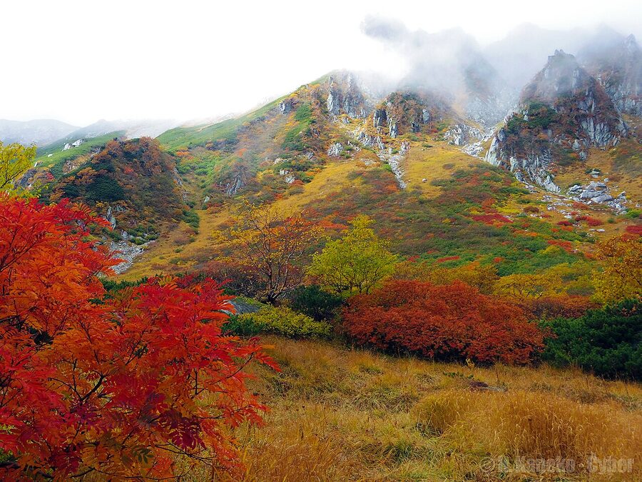 Autumn colour at Senjojiki Cirque under Mt Hoken